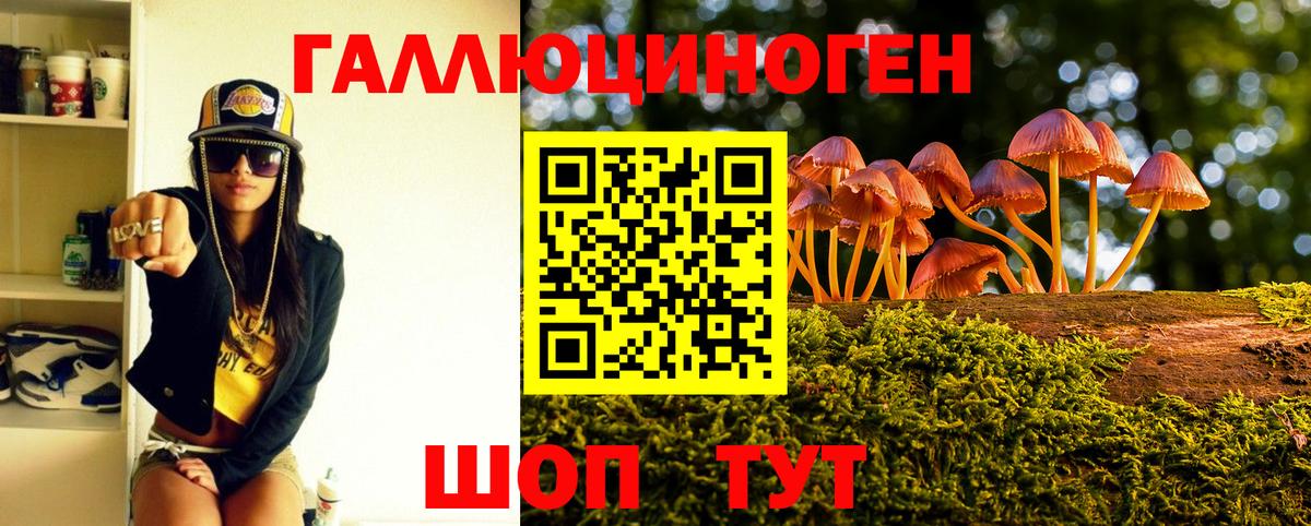 Псилоцибиновые грибы Psilocybine cubensis  купить  цена  Тулун  Вход с VPN 